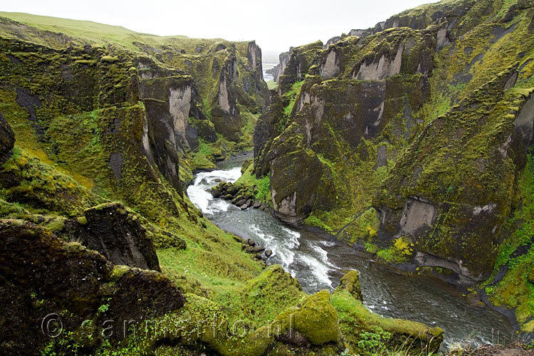 Een mooi uitzicht over de kloof Fjaðrárgljúfur tijdens de wandeling