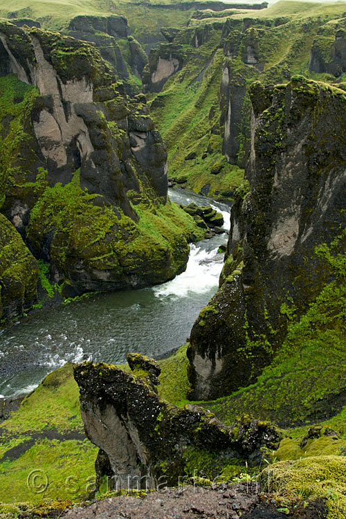 Wandelend met uitzicht over de mooie kloof Fjaðrárgljúfur in IJsland