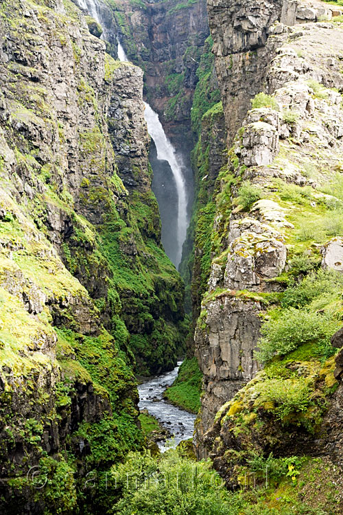 Het eerste uitzicht over de Glymur waterval en de groene kloof