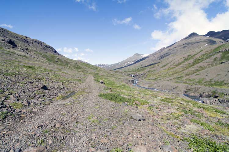 Het wandelpad tijdens de wandeling door Heinabergsdalur op IJsland