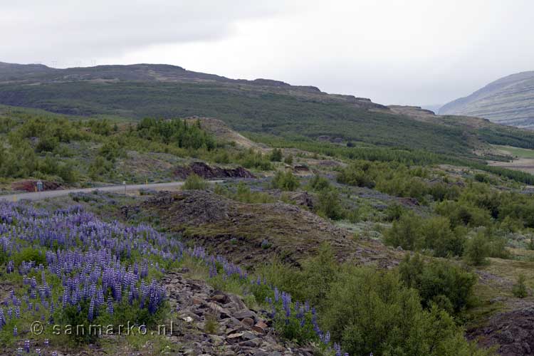 Uitzicht op de bergen rondom Reyðarfjörður in het noordoosten van IJsland