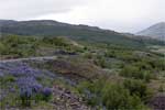 Uitzicht op de bergen rondom Reyðarfjörður in het noordoosten van IJsland