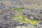 Met mos overgroeide rotsen bij de waterval Hengifoss bij Egilsstaðir in IJsland