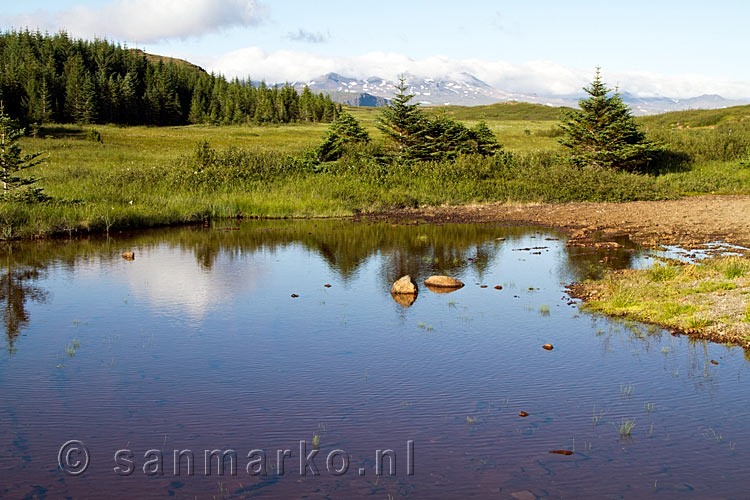 Uitzicht op het schitterende meertje en de bergen bij Hofsstaðaskógur