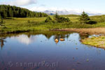 Uitzicht op het schitterende meertje en de bergen bij Hofsstaðaskógur