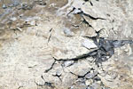 Opgedroogde gebroken lagen mineralen in het solfatare veld Hveravellir aan de F 35