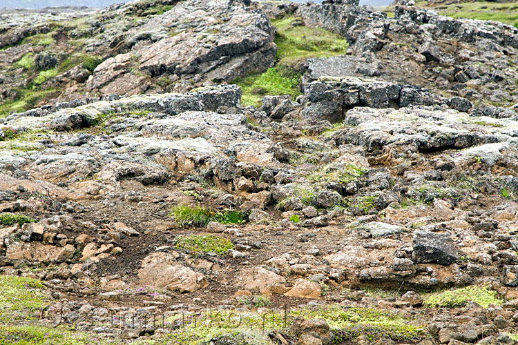 Wandelen over oude lava tijdens de wandeling bij Hveravellir in IJsland