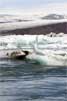 IJsbergen op Jökulsárlón met Fjallsjökull in de achtergrond