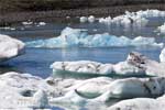 Enorme ijsbergen in verschillende vormen op het gletsjermeer Jökulsárlón