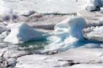 Samengepakte ijsbergen te zien in alle maten op Jökulsárlón in IJsland