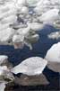 Schattige smeltende kleine ijsblokjes in het gletsjermeer Jökulsárlón