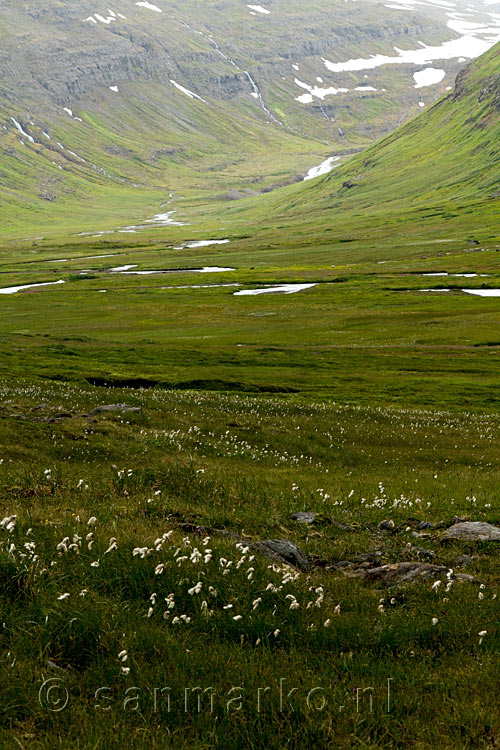 Een schitterend uitzicht over Kaldbaksdalur tijdens onze wandeling over de Westfjorden van IJsland