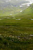 Een schitterend uitzicht over Kaldbaksdalur tijdens onze wandeling over de Westfjorden van IJsland