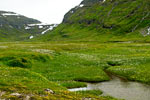 Kaldbaksdalur is een schitterend mooi en groen dal om door heen te wandelen