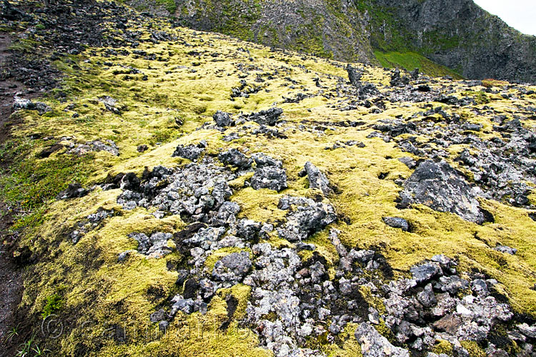 Wandelen door de Eldhraun naar de Klukkufoss Klokwaterval op IJsland