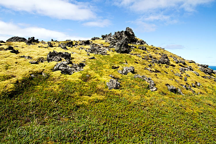 Lava vergroeid met mos bij de grappige Klukkufoss Klokwaterval