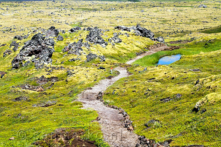 Het wandelpad naar de Klukkufos watervan op Snæfellsnes op IJsland