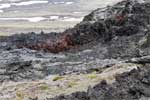 Kleurrijke lava in Leirhnjúkur bij de Krafla vlakbij Mývatn