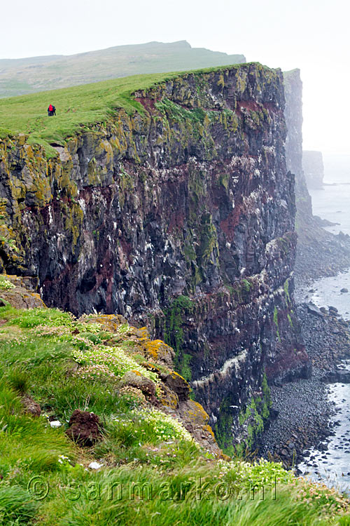 Het wandelpad langs de rand van de kliffen van Látrabjarg op de Westfjorden van IJsland