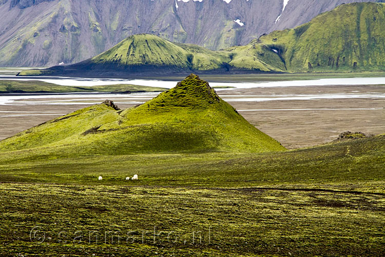 Schitterende groene en zwarte bergen in Landmannalaugar in IJsland