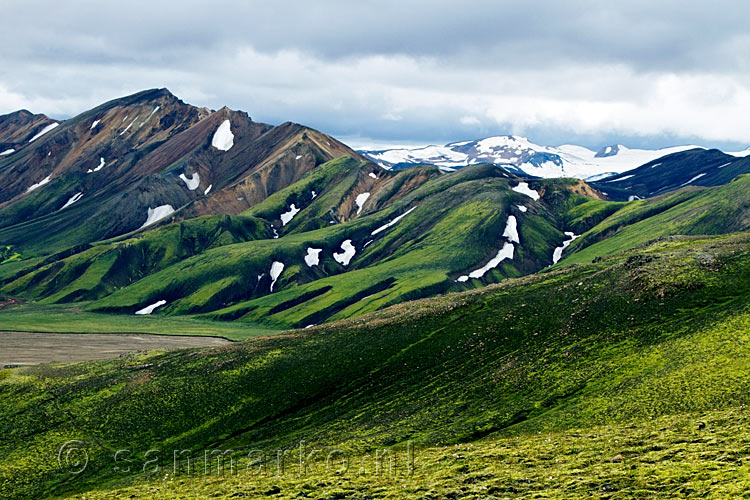 Bijzondere groene kleuren op de bergen van Landmannalaugar in IJsland