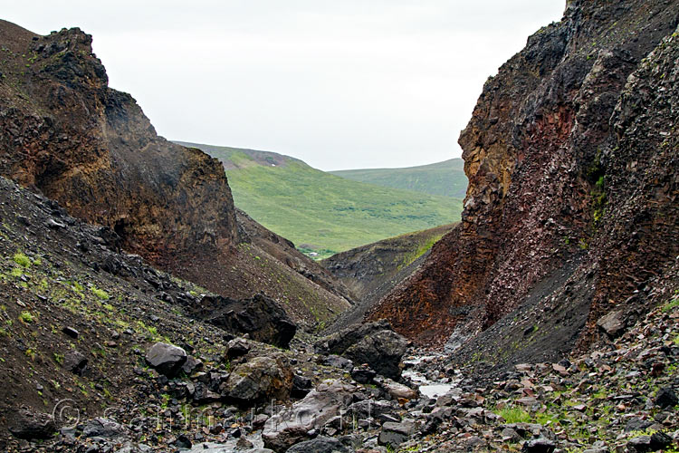 Uitzicht over het groene dal vanaf de kloof Ránagil in IJsland