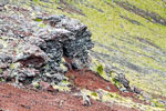 Eldhraun, oude lava typeert het landschap bij de Rauðhóll krater