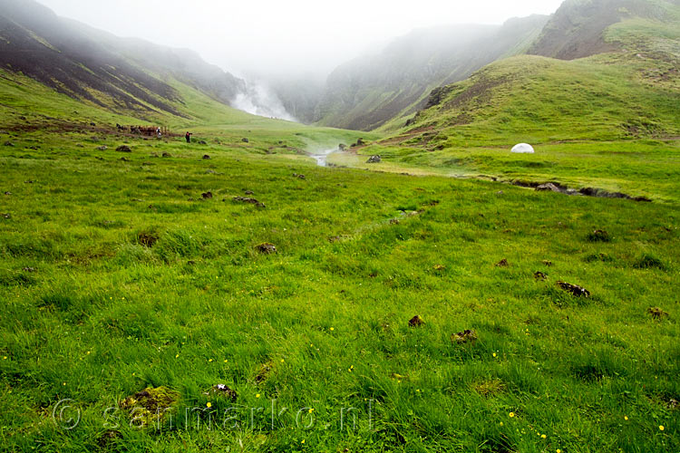 Uitzicht vanaf de wandeling over het mooi groene Reykjadalur bij Hveragerði in IJsland