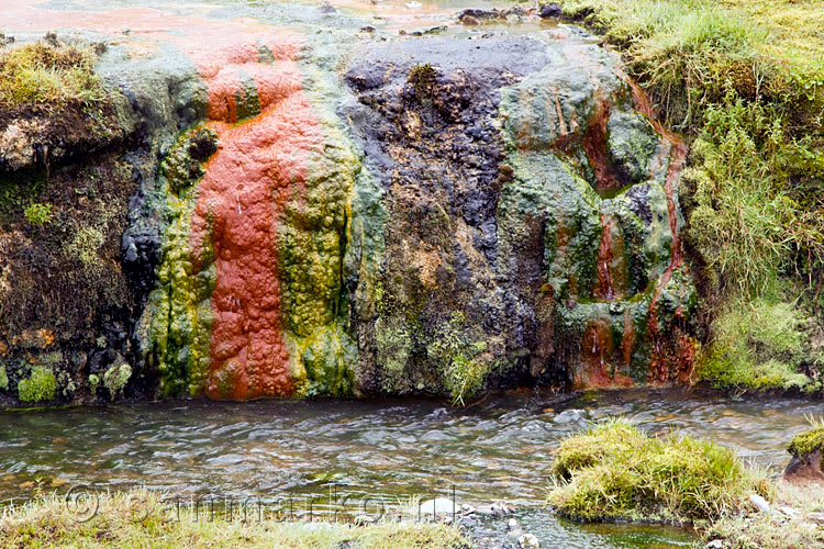 Ongelofelijke kleuren langs het water en wandelpad in Reykjadalur in IJsland