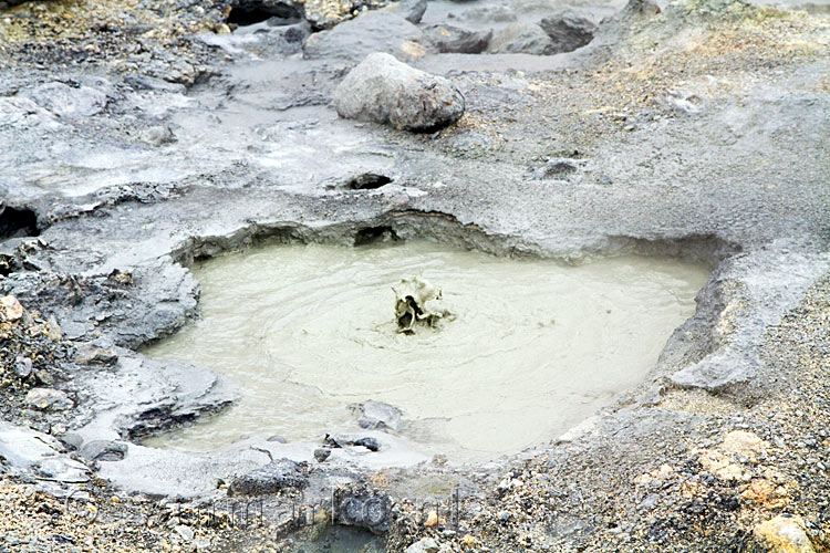 Nog een mooi pruttelende slijkpoel bij Seltún op Reykjanes op IJsland