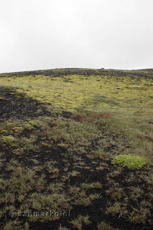 Het landschap bij Sólheimajökull gletsjer bij Vík in IJsland