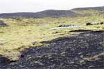 Een bijzonder landschap van lava en mos bij Sólheimajökull gletsjer
