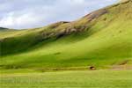 Spectaculaire groene heuvels in Mýrdal bij Vík in IJsland