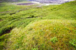 Zoek het pad door deze schitterende natuur bij de kloof Selvellir op IJsland