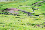 Een beekje kronkelend door het groene landschap bij Selvellir op Snæfellsnes