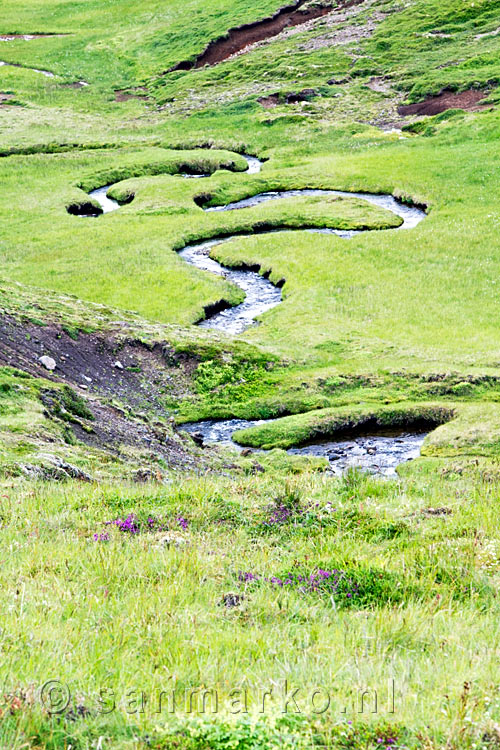 De groene natuur onderbroken door een schitterend kronklend beekje bij Selvellir