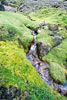 Door het schitterende landschap van Selvellir stroomt een schitterend beekje