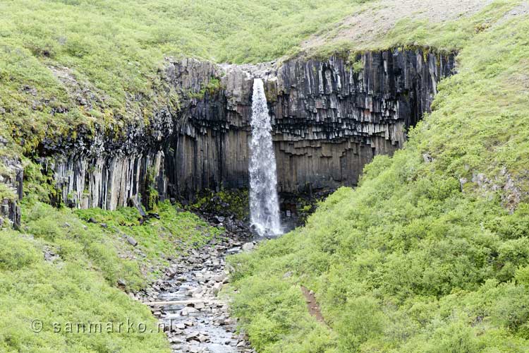Vanaf het wandelpad de schitterende Svartifoss waterval in Skaftafell in IJsland