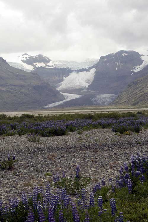 Uitzicht vanaf het wandelpad op de Morsárjökull gletsjer in Skaftafell in IJsland