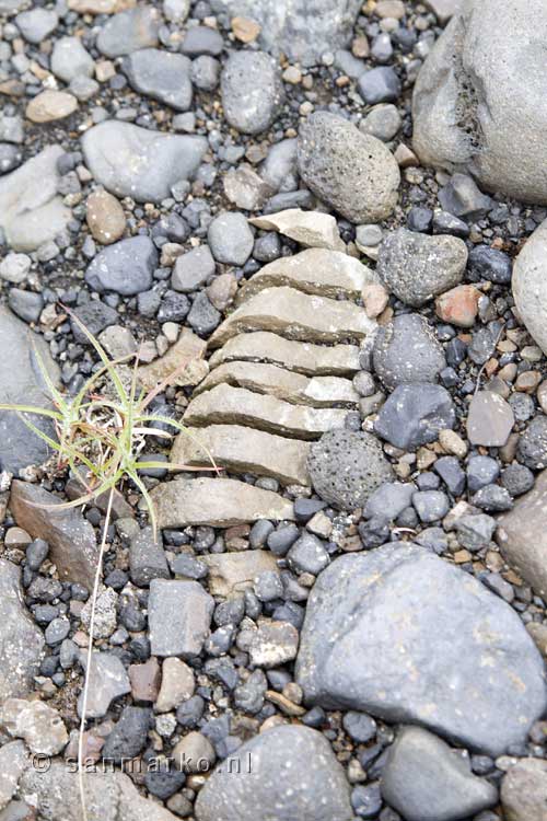 Langs het wandelpad zien we verschillende Trollenboodjes (Tröllabrauð) in IJsland