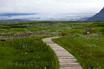 Wandelen over de Skaftefellsheidi met uitzicht op de Morsárjökull in Skaftafell