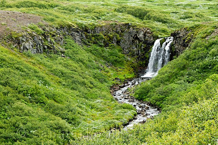 Uitzicht vanaf het wandelpad op de Efri Austurheidarfoss in Skaftafell National Park