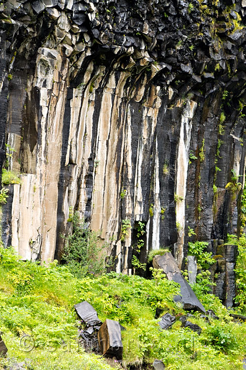 De basalt kollommen van de Svartifoss waterval in Skaftafell National Park