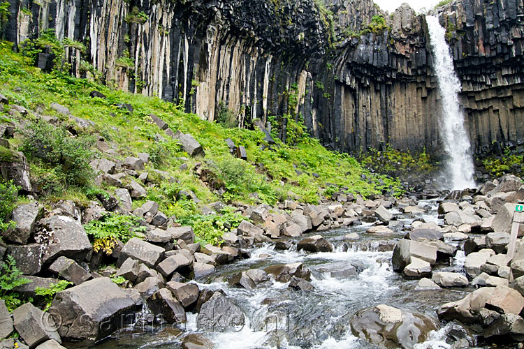 De populaire Svartifoss waterval in Skaftafell National Park in IJsland