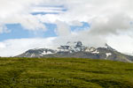 Vanaf het wandelpad uitzicht op de besneeuwde bergtoppen in Skaftafell NP