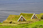 De oud IJslandse huisjes van het Sel Museum in Skaftafell National Park in IJsland