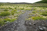 Wandelen door de morenen terug  vanaf de Skaftafellsjökull naar de parkeerplaats