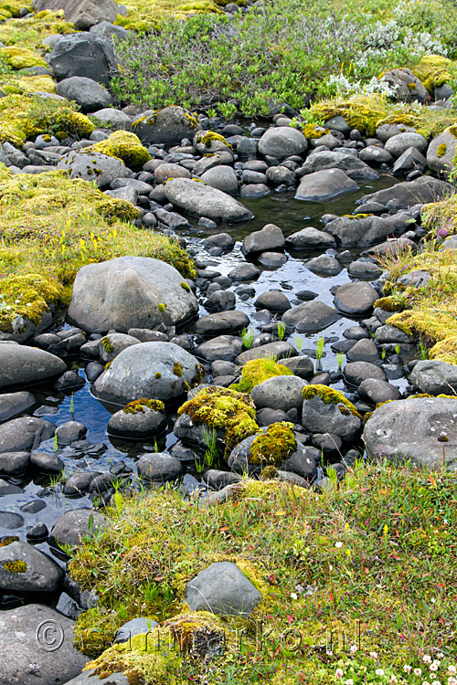 De ronde stenen gemaakt door de de Skaftafellsjökull in Skaftafell National Park