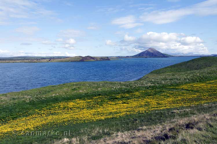 Wandelen met een prachtig uitzicht over Skútustaðir bij Mývatn in IJsland