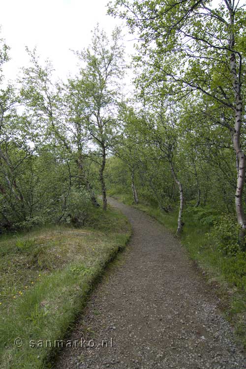 Uitzicht over het wandelpad bij Höfði bij Mývatn in IJsland